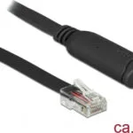 DeLock Cisco Adapter Μετατροπέας USB-C male σε male 1τμχ