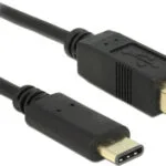 DeLock USB 2.0 Cable USB-C male - USB-B Μαύρο 2m 83330