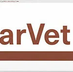 VetExpert Diarvet Paste Προβιοτικά Σκύλου σε Πάστα 20gr 20ml για Γαστρεντερικές Διαταραχές MB-1601361