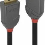 Lindy Cable DisplayPort male - DisplayPort male 1m Μαύρο (36481)