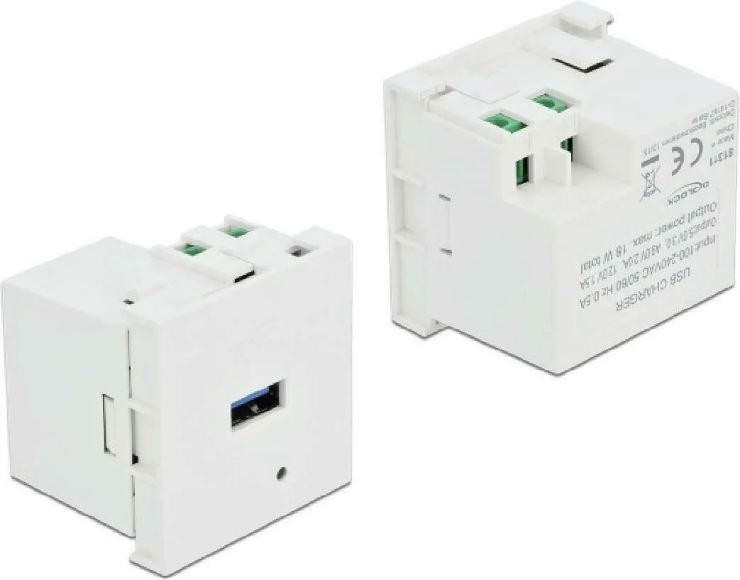 DeLock Easy 45 Χωνευτή Πρίζα με 1 Θύρα USB Λευκή 81311 - Image 1