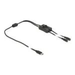 DeLock Καλώδιο USB-A male - DC 1m 86800 1τμχ