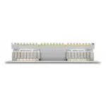 DeLock Patch Panel για Rack 1U 19" 16 Θυρών cat6a Γκρι 66877