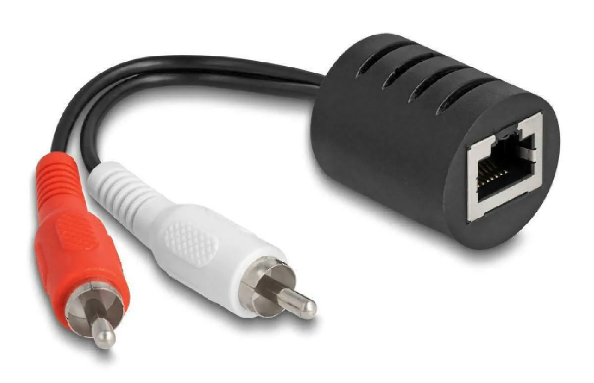 DeLock Μετατροπέας RCA 2x male σε RJ-45 female 2τμχ 87857 - Image 1