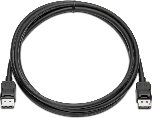 HP Cable DisplayPort male - DisplayPort male 2m (VN567AA) - Image 1