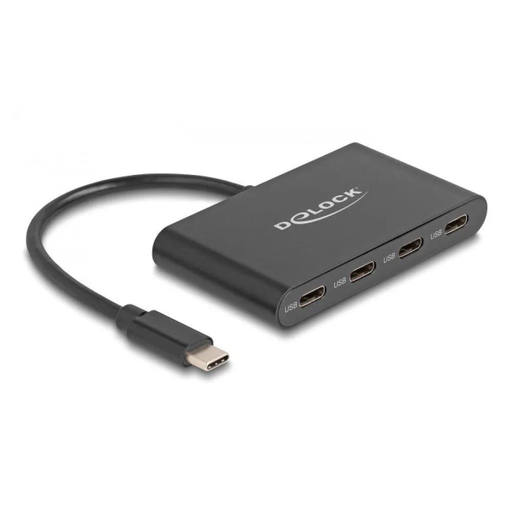 DeLock Hub 4 Θυρών USB 3.2 με σύνδεση USB-C Γκρι 64129 - Image 1