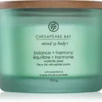 Chesapeake Bay Candle Διακοσμητικό Κερί σε Βάζο 312gr