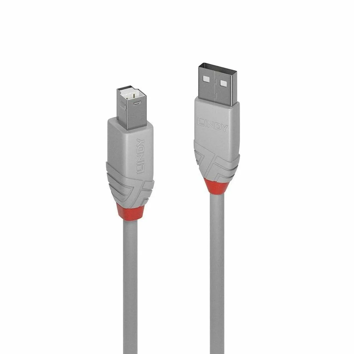 Lindy USB 2.0 Cable USB-A male - USB-B male Γκρι 5m 36685 - Image 1