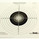 Paper discs Χάρτινος Στόχος Σκοποβολής & Τοξοβολίας 17x17εκ. 3.1717