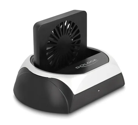 DeLock Docking Station Σκληρών Δίσκων PCIe/SATA 2.5" / 3.5" με σύνδεση USB-C (64280) - Image 1
