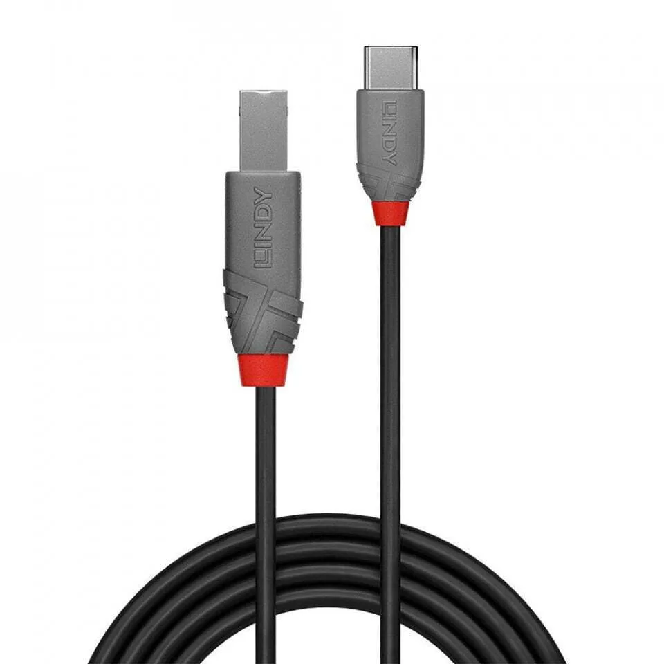 20241001165055_16e09d2d.jpeg Lindy USB 2.0 Cable USB-C male - USB-B Μαύρο 1m 36941 - Image 1