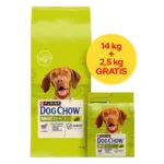 Dog Chow 16.5kg Ξηρά Τροφή για Ενήλικους Σκύλους με Αρνί