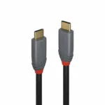 Lindy USB 3.2 Cable USB-C male - USB-C 100W PD Μαύρο 2m 36903