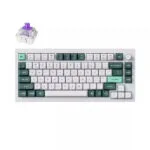 Keychron Q1H-P1 HE QMK Q1H-P1 Ασύρματο Gaming Μηχανικό Πληκτρολόγιο 75% με Gateron Double-Rail Magnetic Purple διακόπτες και RGB φωτισμό (Αγγλικό US) Λευκό