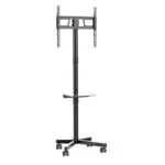 Gembird TVS-55T-03 Βάση Τηλεόρασης Δαπέδου έως 55" Μαύρο