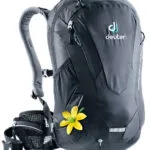 Deuter Backpack Μαύρο