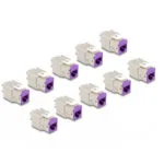 Delock Set 10 Pcs Keystone Module Rj45 Lsa Cat.6a Toolfree Violet Delock 88121