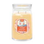 Slopeside Spritz Yankee Candle Signature Large Scented Candle New 2025