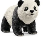 Slh Young Giant Panda Wildlife 14886 63316