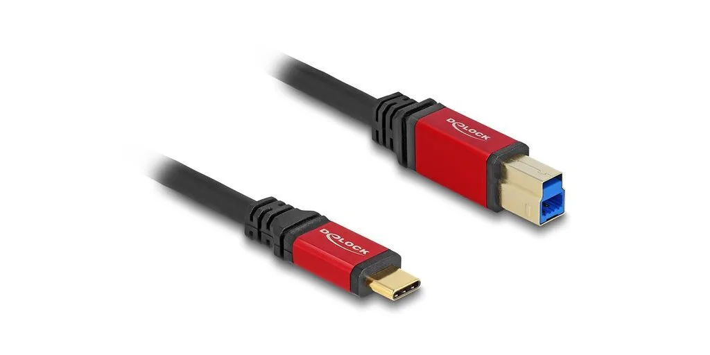 DeLock USB 3.2 Cable USB-C male - USB-B 2m 80613 - Image 1