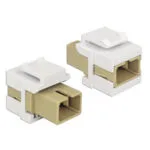 DeLock Module Keystone 1τμχ 86331