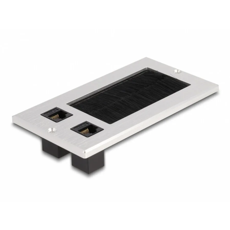 Delock Desk Socket Brushes 2 X Rj45 Cat 6 Aluminum Delock 66896 Multicolor - Image 1