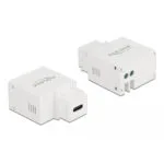 DeLock Module Keystone 1τμχ