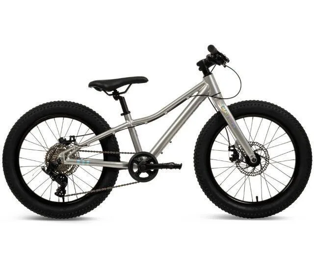 20260422134324_rower_20_paidiko_mountain_bike_me_skeleto_alouminiou_asimi.jpeg Rower 20" Παιδικό Mountain Bike με Σκελετό Αλουμινίου Ασημί - Image 1