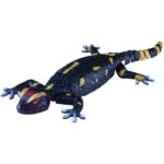 Revell Ηλεκτρονικό Ρομποτικό Παιχνίδι 24705