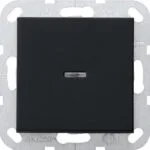 Πλαίσιο Διακόπτη Gira 0290005 Rocker Control System 55 Black
