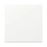 Διακόπτης Gira 329627 Rocker System 55 Reinwhite M