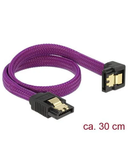 20260522101536_delock_cable_30cm_mov.jpeg DeLock - Cable 30cm Μωβ - Image 1