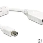DeLock Μετατροπέας DisplayPort male σε DisplayPort female Λευκό 1τμχ 65427