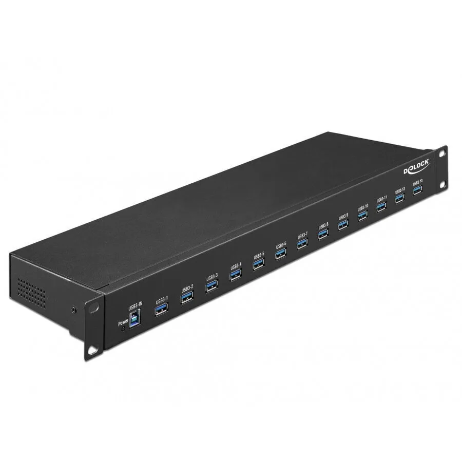 20250904153954_delock_usb_3_1_hub_13_thyron_me_syndesi_usb_a_kai_exoteriki_parochi_reymatos_64039.jpeg DeLock Hub 13 Θυρών USB 3.1 με σύνδεση USB-A 64039 - Image 1