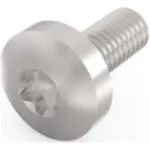 Schroff Βίδα Torx Γαλβανιζέ με Μήκος 4mm 100τμχ