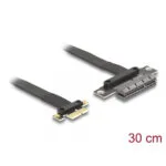 Delock Pci Express 3.0 X1 To X4 Riser Card + 30cm Cable Delock 81495