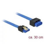DeLock - 30cm Μπλε 84972