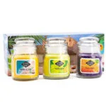 Candle Light Αρωματικό Κερί Σόγιας σε Βάζο με Άρωμα Cotton 85gr A1384