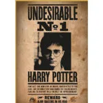 Παιδικό Puzzle Harry Potter "wanted No.1" 50pcs Thumbs Up