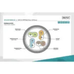 Digitus U/UTP Cat.6 (Gigabit) Καλώδιο Δικτύου Ethernet 0.25m Γκρι 10τμχ DK-1644-0025-10