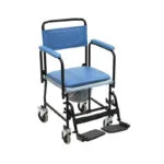 Folding Sanitary Toilet Wheelchair