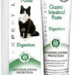 Gimborn Gimcat Gastro Intestinal Paste Πάστα για Γαστρεντερικές Διαταραχές 50gr 2417561S