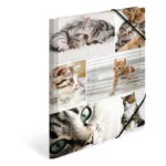 Herma A4 Cat Themed Folder – Cardboard – Elastic Straps – 3 Flaps