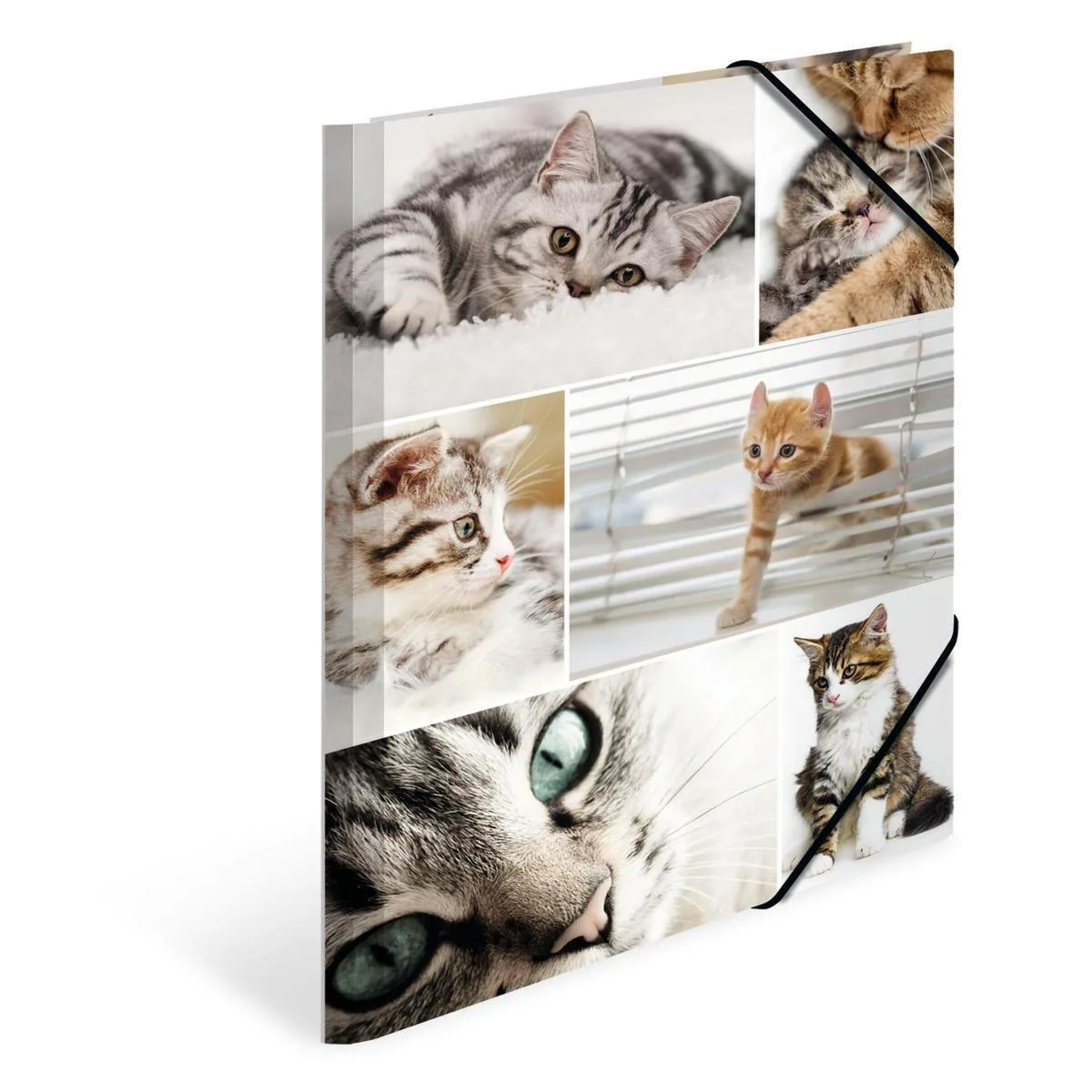 Herma A4 Cat Themed Folder – Cardboard – Elastic Straps – 3 Flaps Herma A4 Cat Themed Folder – Cardboard – Elastic Straps – 3 Flaps - Image 1
