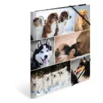 Herma Sammelmappe A4 Hunde Pappe