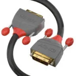Lindy Cable DVI-D male - DVI-D male 2m Μαύρο (36222)