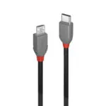 Lindy USB 2.0 Cable USB-A male - Μαύρο 2m 36892