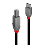 Lindy USB 2.0 Cable USB-C male - USB-B Μαύρο 2m 36942