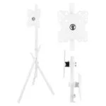 Maclean Energy MC-181 W Βάση Τηλεόρασης Δαπέδου έως 55" και 60kg Λευκό