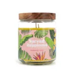 Minions Αρωματικό Κερί σε Βάζο με Άρωμα Πορτοκάλι 510gr